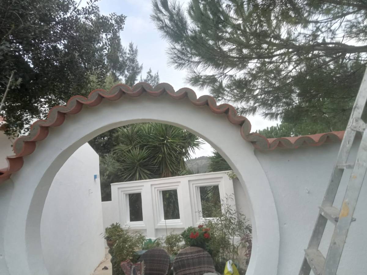 Diego Oliveira - Arruda dos Vinhos - Remoção de Tronco de Árvore