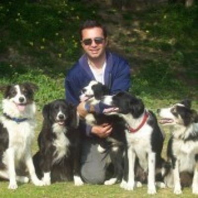 Doggy Clube - Centro de Treino para Cães - Montijo - Treino de Cães - Aulas