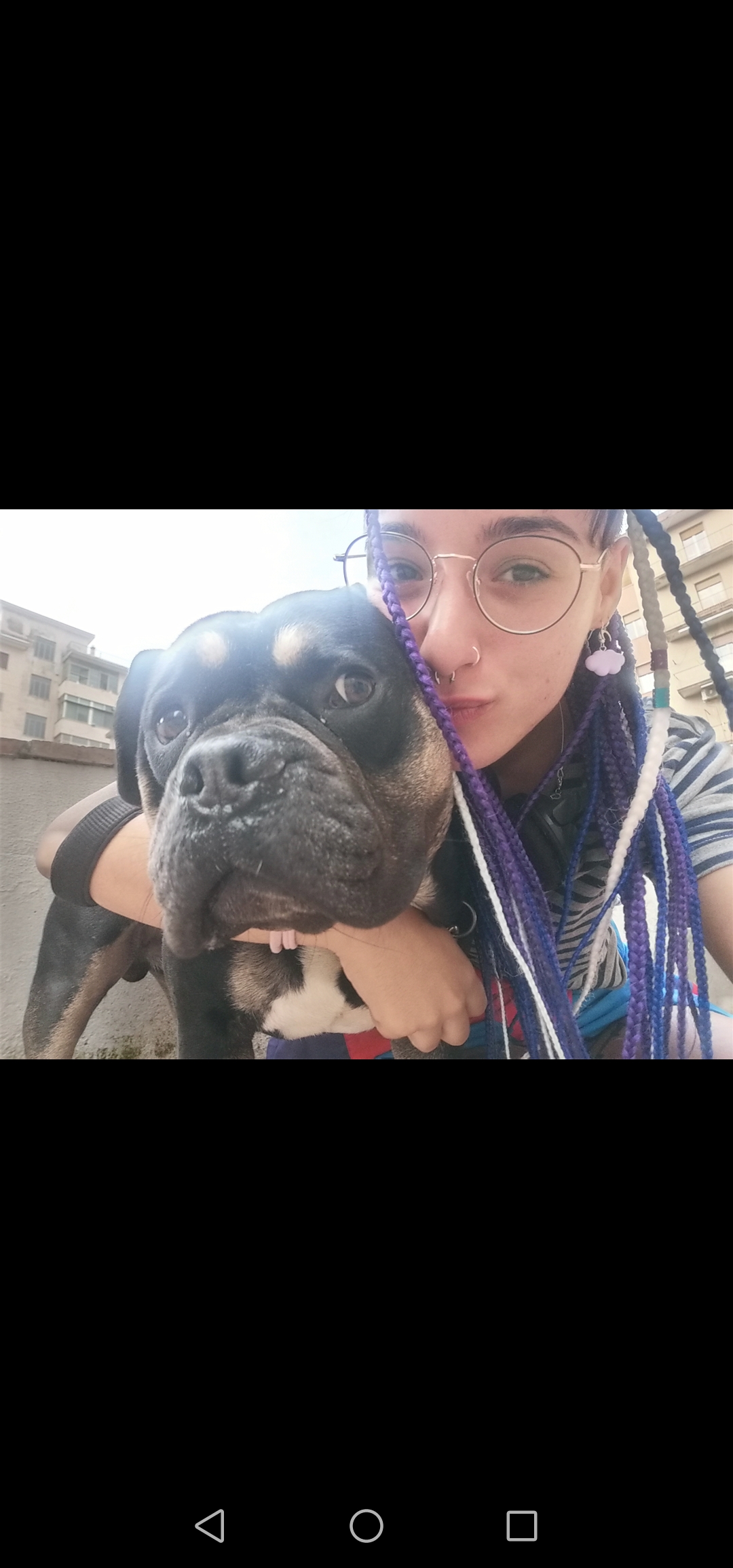 Ludo Dog Sitting Lisboa - Lisboa - Dog Sitting