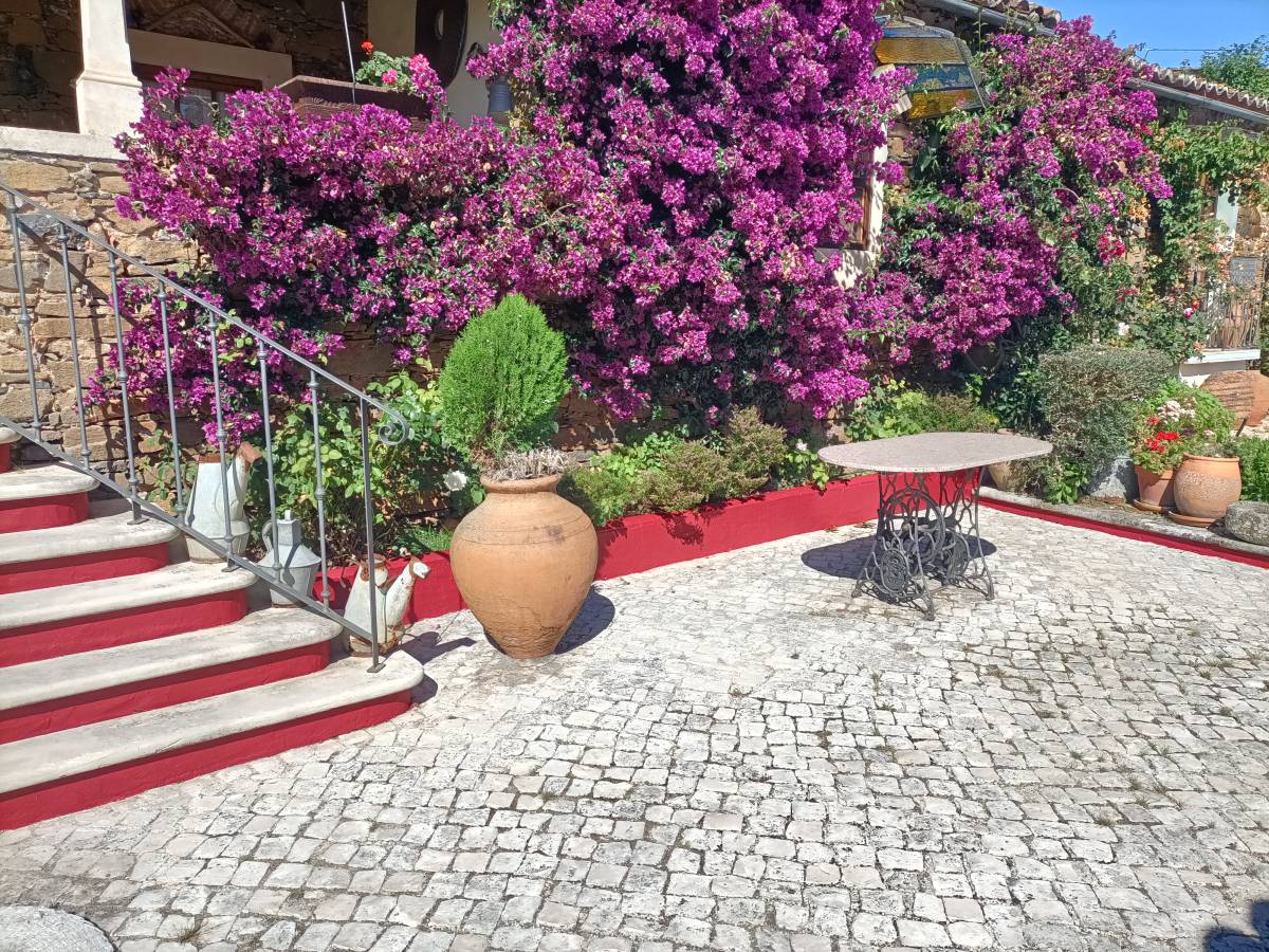 Luis Miguel - Rio Maior - Painting