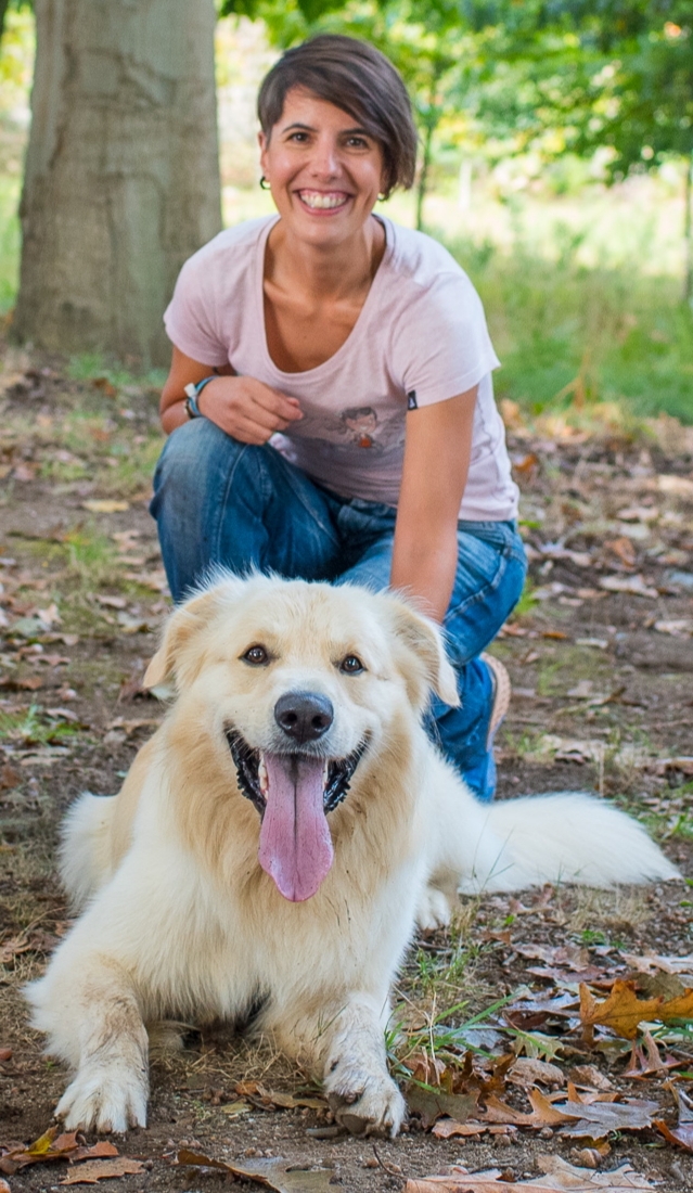 mixdogs - Porto - Dog Training
