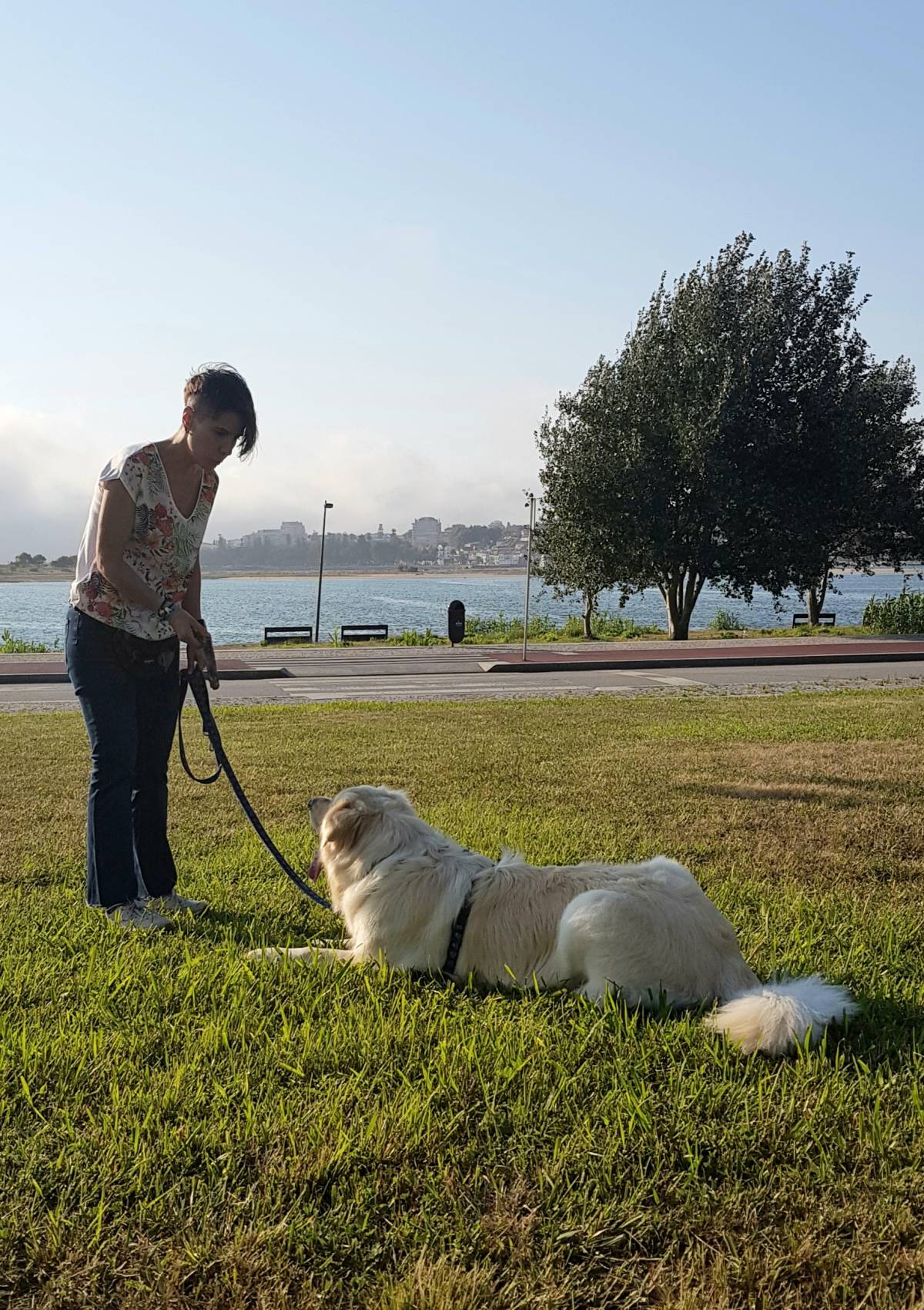 mixdogs - Porto - Pet Sitting