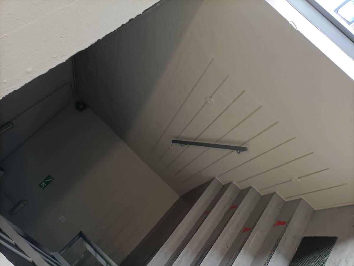 Luis Miguel - Rio Maior - Redecoration