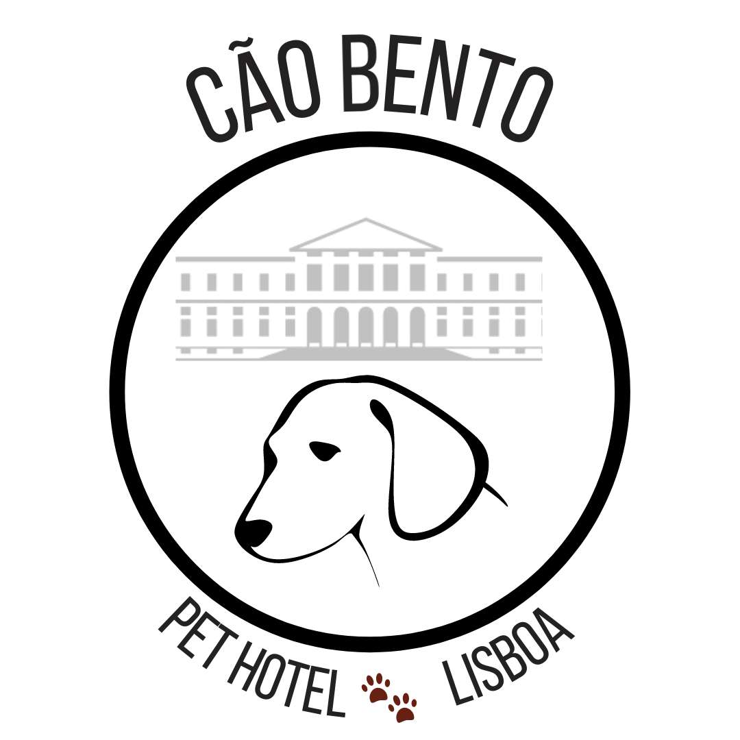 Cão Bento Lisboa - Almada - Dog Sitting