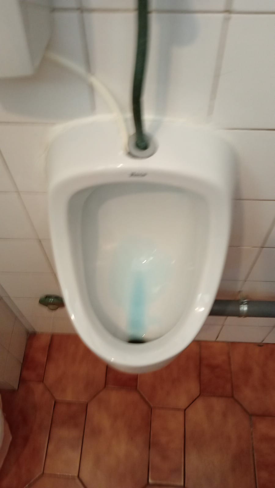 Engomaclean - Gondomar - Nettoyage après déménagement