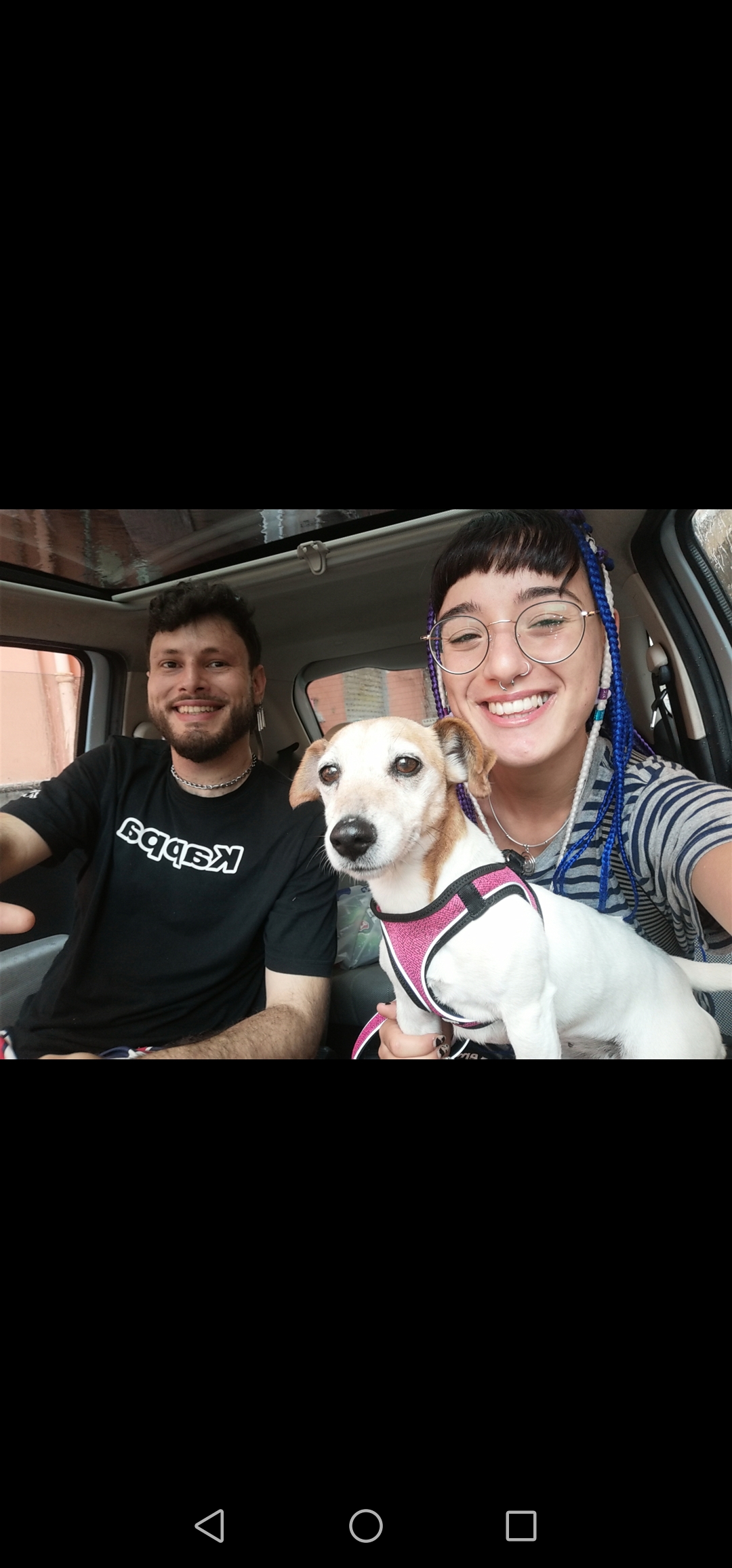 Ludo Dog Sitting Lisboa - Lisboa - Cat Sitting