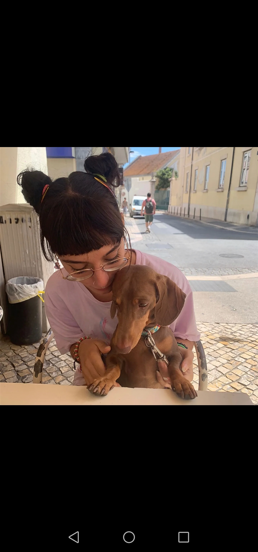 Ludo Dog Sitting Lisboa - Lisboa - Hotel e Creche para Animais