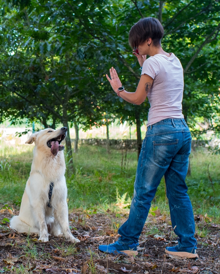 mixdogs - Porto - Animal Behavior Modification