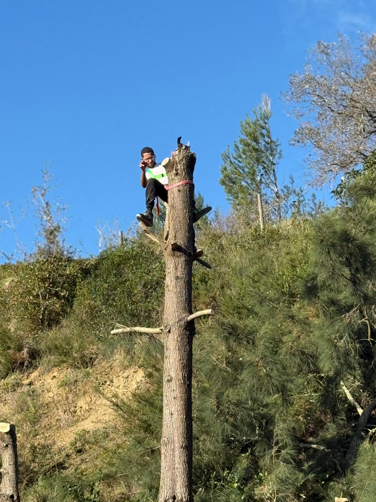Diego Oliveira - Arruda dos Vinhos - Remoção de Arbustos