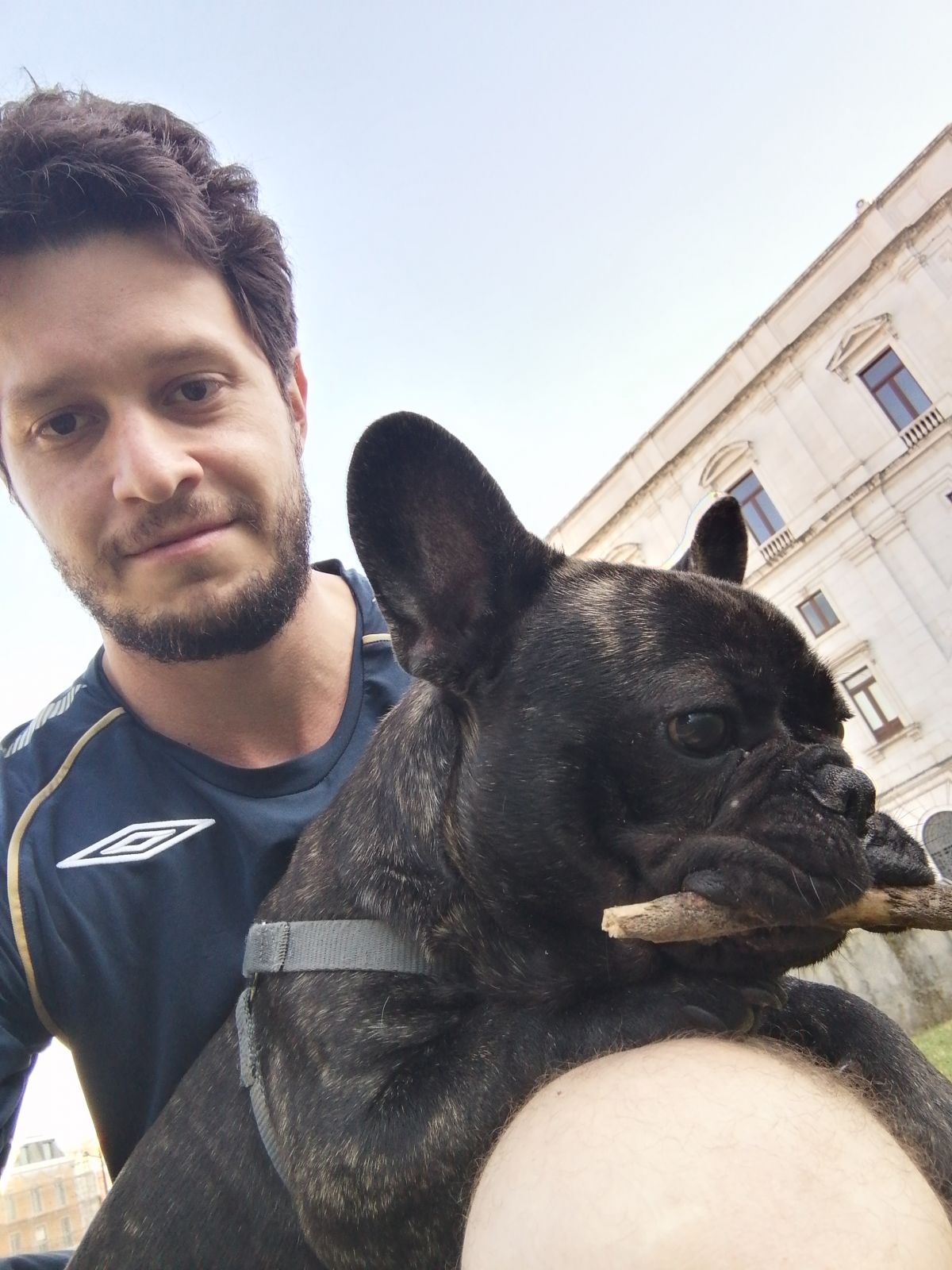 Cão Bento Lisboa - Almada - Dog Walking