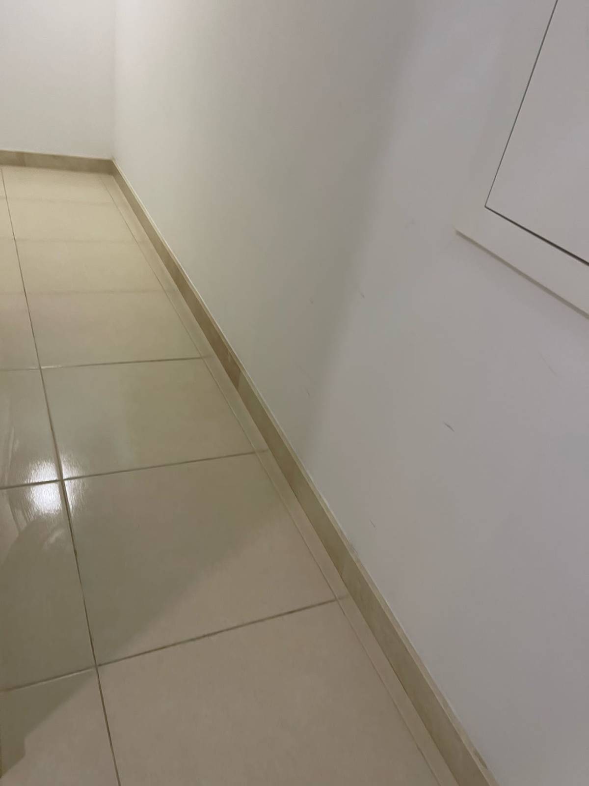 Engomaclean - Gondomar - Nettoyage de bureaux régulier