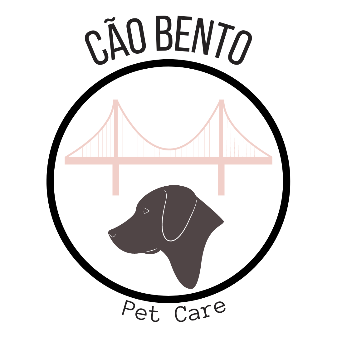 Cão Bento Lisboa - Almada - Dog Walking