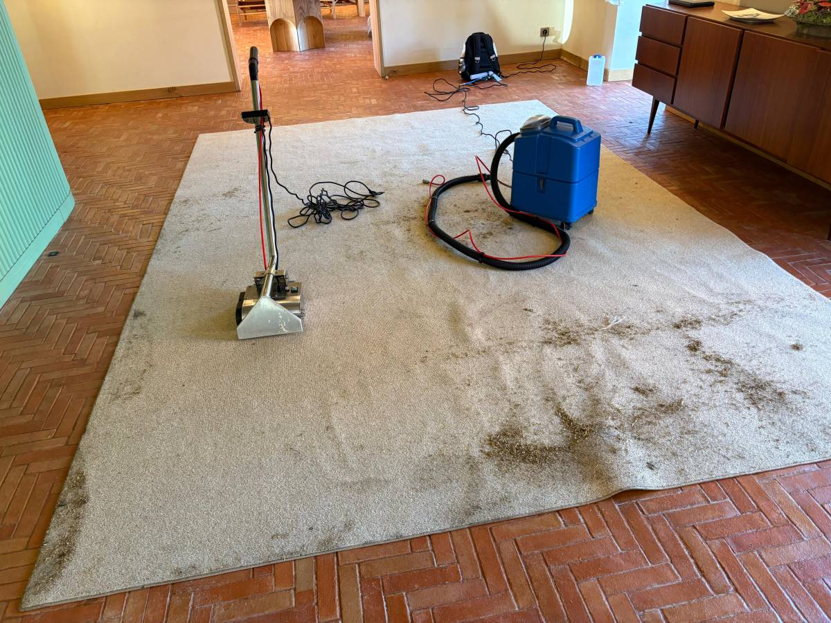Conceito clean - Sintra - Limpieza de Sofás
