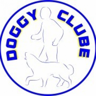 Doggy Clube - Centro de Treino para Cães - Montijo - Dog Walking