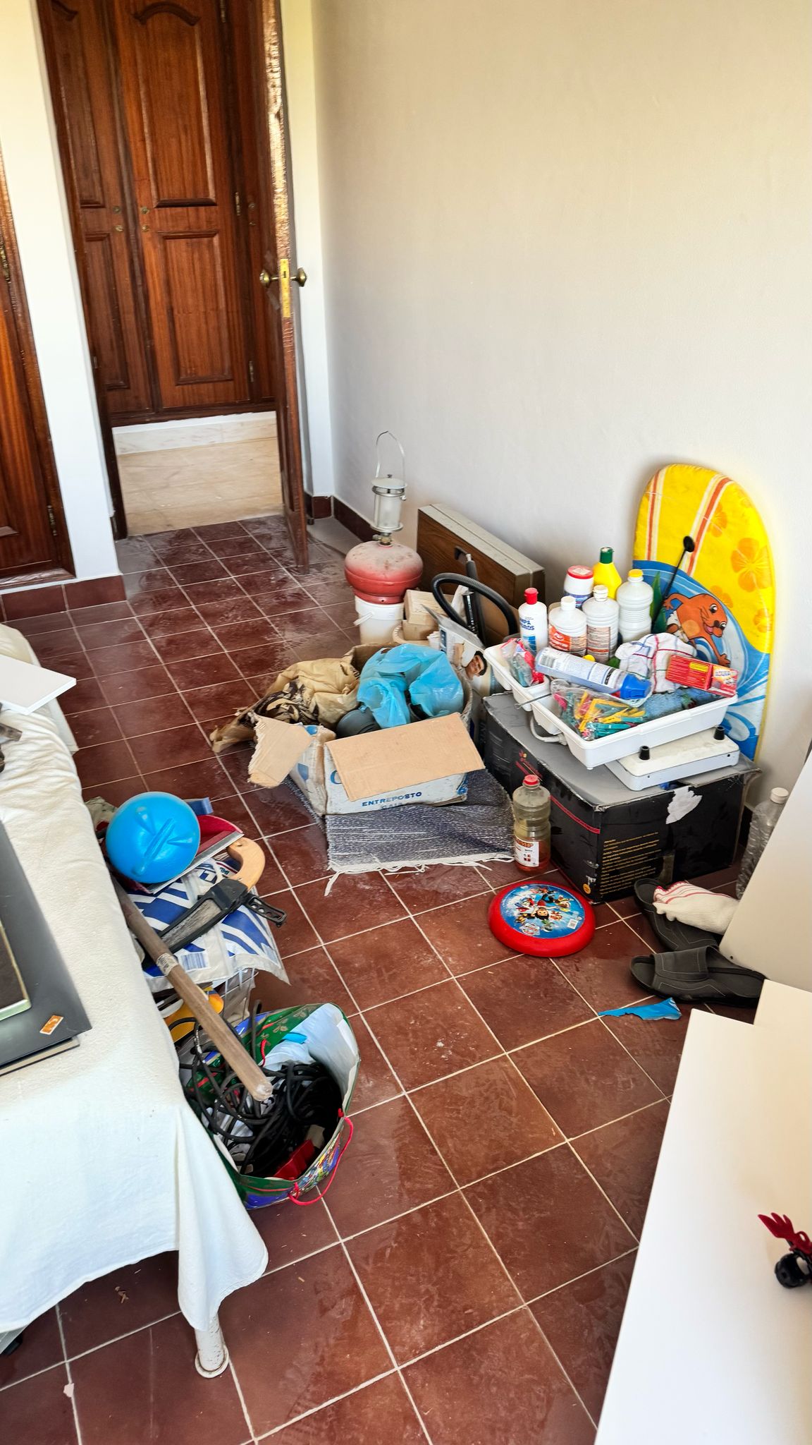 Daiane Dias - Portimão - Move-in or Move-out Cleaning