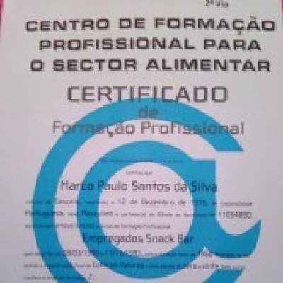 Marco Silva - Cascais - Chauffeur