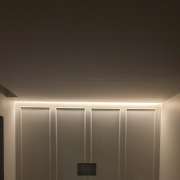 Joel Pinheiro - Paredes - Insulation