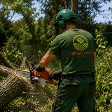 Terra Limpa Litoral - Sines - Tratamento de Relvado
