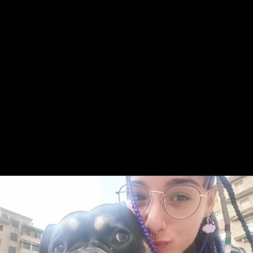 Ludo Dog Sitting Lisboa - Lisboa - Dog Sitting
