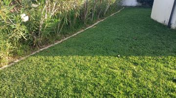 Serviço de Jardinagem