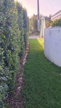 Serviço de Jardinagem