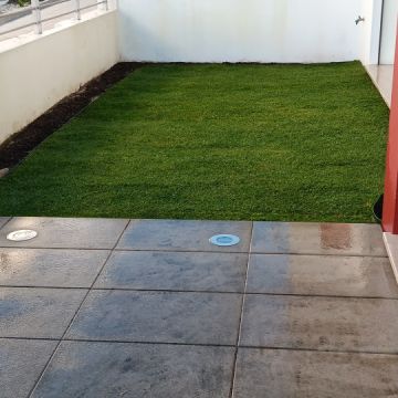 Cc Jardinagem - Alcobaça - Tree Stump Grinding and Removal