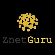 ZNETGURU - Aveiro - Web Design