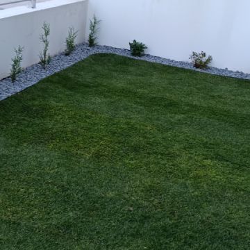 Cc Jardinagem - Alcobaça - Shrub Removal
