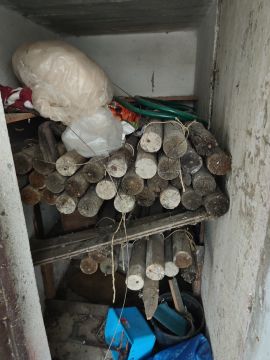 Especialista em Remoção de Lixo e Entulho - Casa