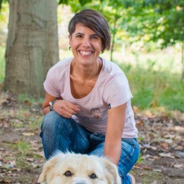 mixdogs - Porto - Dog Training