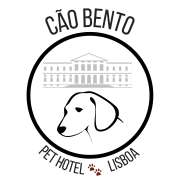Cão Bento Lisboa - Almada - Dog Sitting