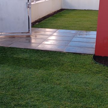 Cc Jardinagem - Alcobaça - Tree Trimming and Maintenance