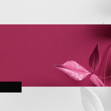 Leal Branding | Marketing e Branding. - Porto - Marketing Digital