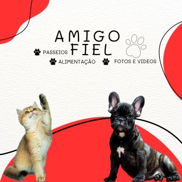 Amigo Fiel - Sesimbra - Dog Walking
