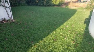 Jardinagem e Relvados - Casa
