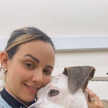 Lanny - Cascais - Dog Sitting