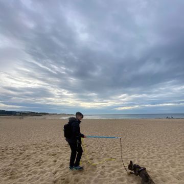 mixdogs - Porto - Cat Sitting