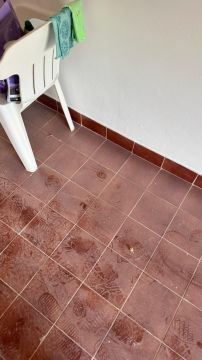 Daiane Dias - Portimão - Commercial Cleaning