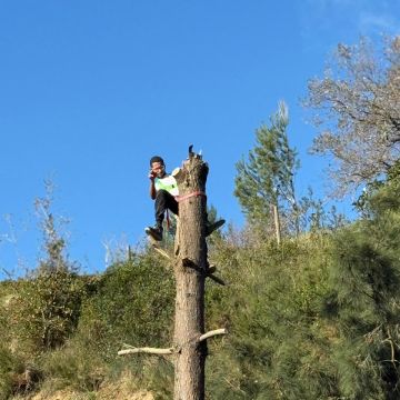 Diego Oliveira - Arruda dos Vinhos - Remoção de Arbustos