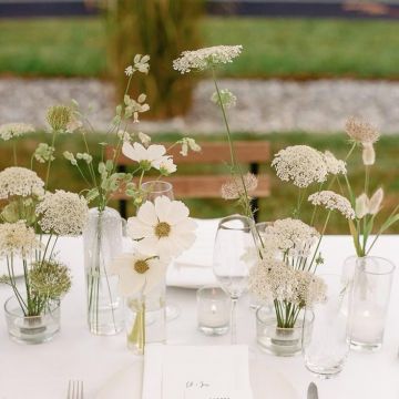 Diana Sousa - a.bran.dar - eventos - Montemor-o-Velho - Service de maître de cérémonie pour mariage