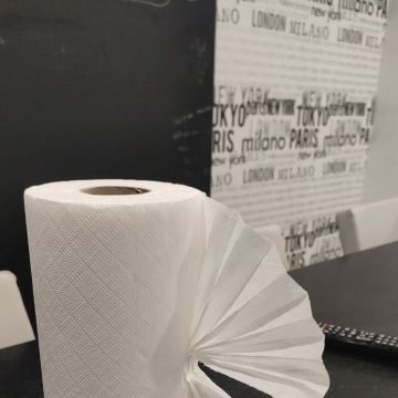 Engomaclean - Gondomar - Ménage général
