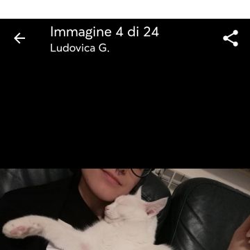 Ludo Dog Sitting Lisboa - Lisboa - Pet Sitting