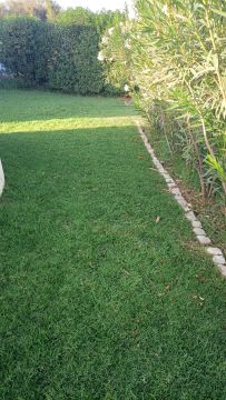 Jardinagem e Relvados
