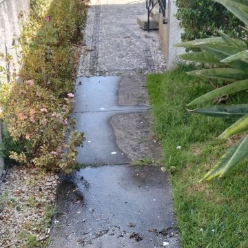 Pereira pinturas - Maia - Limpeza de Propriedade