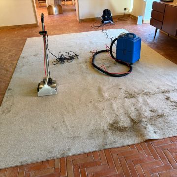 Conceito clean - Sintra - Limpieza de Sofás