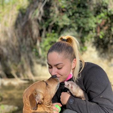CAYS - Centro Animal Yara Sobral - Sintra - Hotel para Cães