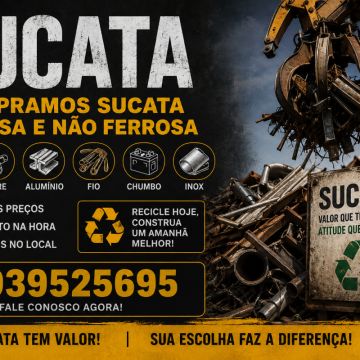 Luís sucateiro - Estarreja - Nettoyage en profondeur