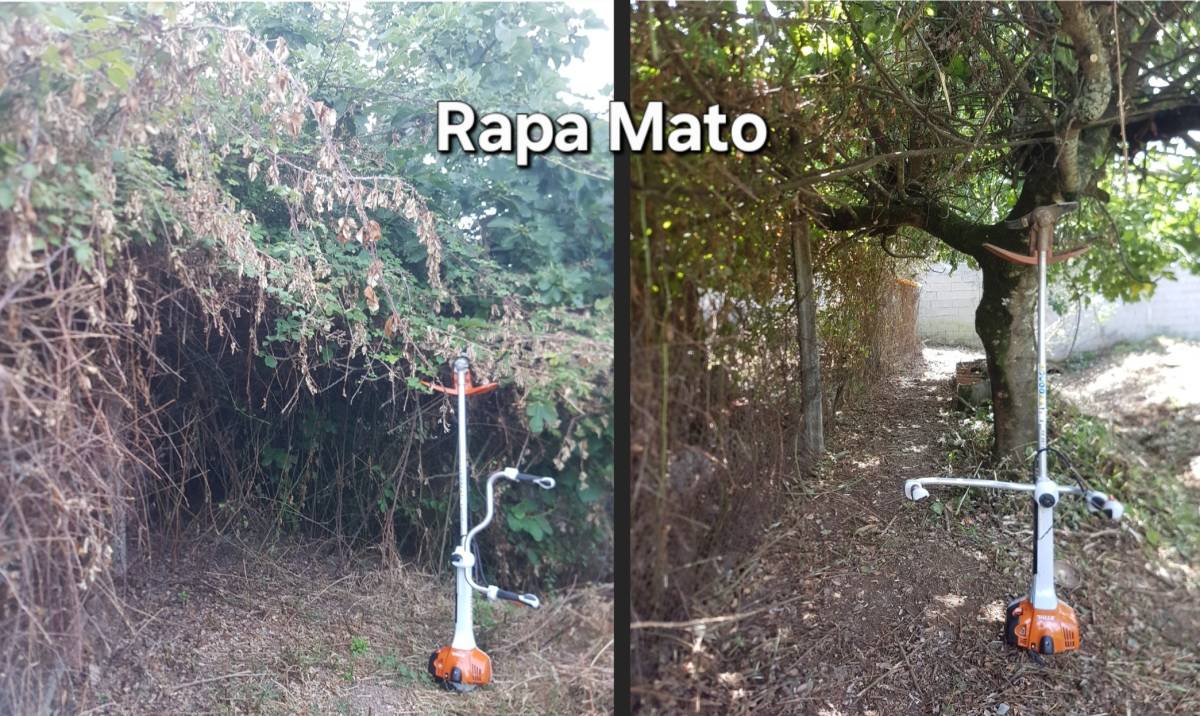 Rapa Mato - limpeza terrenos e matas - Condeixa-a-Nova - Deep or Spring Cleaning