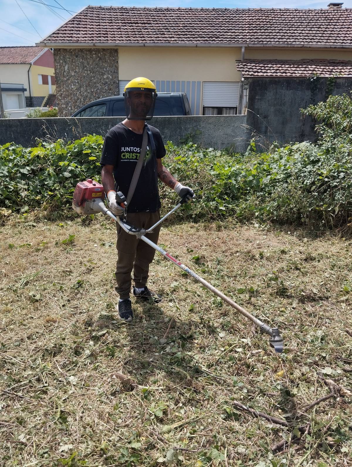 Lucas fãs tudo - Vila do Conde - Tree Stump Grinding and Removal