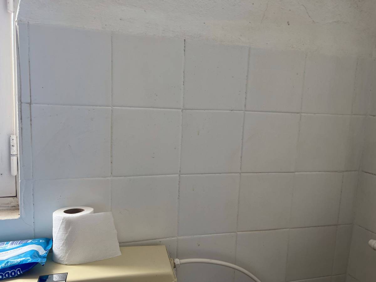FLARIS - Controlo de Humidade | Pintura | Impermeabilização | Limpeza de Estofos - Algarve - Faro - Limpeza de Janelas